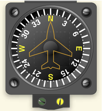 magnetic compass card